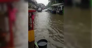 Hujan Deras Rendam 39 RT dan 13 Ruas Jalan di Jakarta