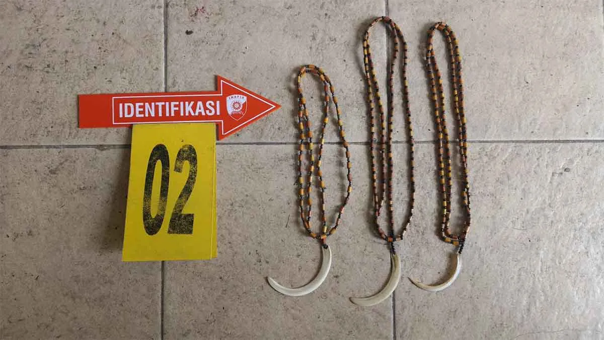 Empat Anggota KKB Diringkus, Diduga Terlibat Serangkaian Aksi Kekerasan di Yahukimo 4 Untitled 2