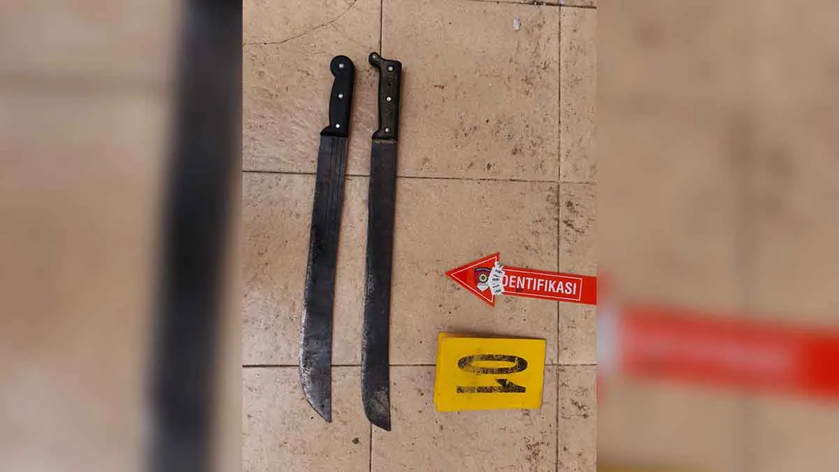 Empat Anggota KKB Diringkus, Diduga Terlibat Serangkaian Aksi Kekerasan di Yahukimo 2 Untitled 4