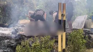Tragedi Berdarah di Nabire! Pos PT Kristal Dibakar Siang Bolong, Dua Orang Tewas 8 Tragedi Berdarah di Nabire! Pos PT Kristal Dibakar Siang Bolong, Dua Orang Tewas