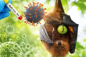 Virus Nipah Jadi Atensi Global, Pemkot Bekasi Fokus Penguatan Tenaga Medis
