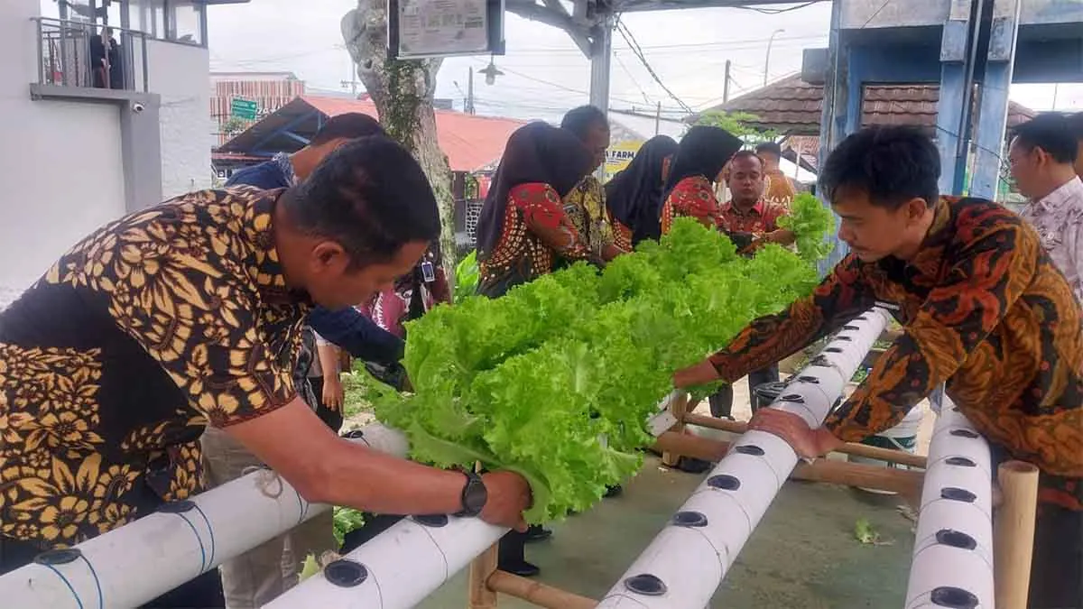 Dari Balik Jeruji, Warga Binaan Lapas Kuningan Sukses Hasilkan Pangan Mandiri 2 menanam 1