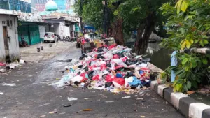 Sampah Menggunung di Pademangan Barat, Bau Busuk Dikeluhkan Warga