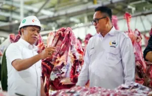 Bapanas Tegaskan Harga Daging Sapi Rp160 Ribu per Kg Bukan Kualitas Standar 7 Bapanas Tegaskan Harga Daging Sapi Rp160 Ribu per Kg Bukan Kualitas Standar
