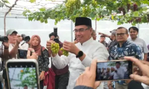 IPB Buka Beasiswa S2 Khusus Wartawan, Kuliah 18 Bulan Plus Dana Riset