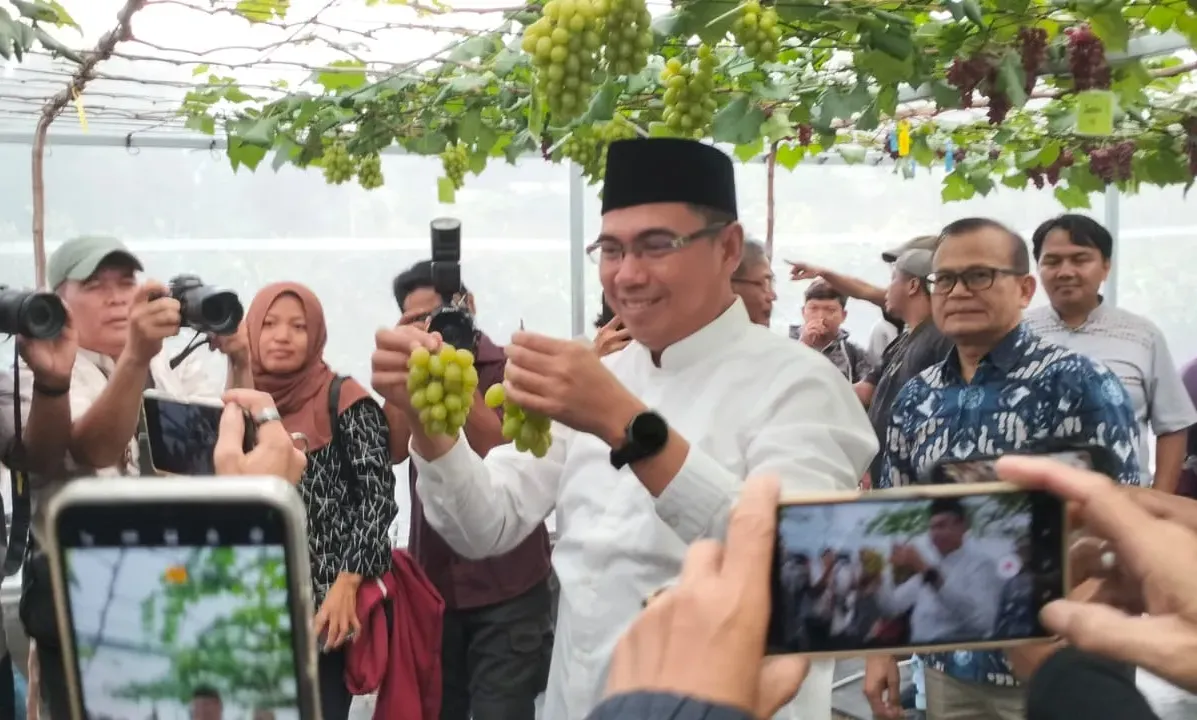 IPB Buka Beasiswa S2 Khusus Wartawan, Kuliah 18 Bulan Plus Dana Riset 1 IPB Buka Beasiswa S2 Khusus Wartawan, Kuliah 18 Bulan Plus Dana Riset