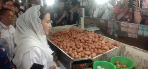 Wamendag Pastikan Harga Bapok Jelang Lebaran Terkendali 9 Wamendag Pastikan Harga Bapok Jelang Lebaran Terkendali