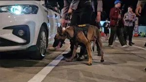 Pelabuhan Merak Dijaga Ketat! Polisi Turunkan Anjing Pelacak dan X-Ray, Ini yang Diburu 5 Pelabuhan Merak Dijaga Ketat! Polisi Turunkan Anjing Pelacak dan X-Ray, Ini yang Diburu