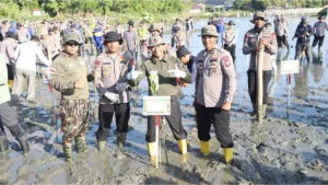 Polda Aceh Tanam 10 Ribu Mangrove, Siap Bentengi Pesisir dari Abrasi dan Tsunami