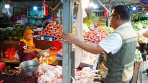 Bapanas Pastikan Harga Bahan Pangan Stabil, Banderol Ayam Masih di Bawah HAP 5 Bapanas Pastikan Harga Bahan Pangan Stabil, Banderol Ayam Masih di Bawah HAP