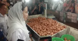 Sidak ke Pasar Mayestik, Wamendag Roro Akui Kesal Harga Cabai Tembus Rp120 Ribu