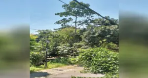 Cuaca Pagi Hari Bogor Terasa Lebih Panas, Ada Apa? Ini Kata BMKG 4 Cuaca Pagi Hari Bogor Terasa Lebih Panas, Ada Apa? Ini Kata BMKG