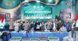 Gading Gajah Hasil Buruan Dijadikan Pipa Rokok Dijual Rp125 Juta 5 Gading Gajah Hasil Buruan Dijadikan Pipa Rokok Dijual Rp125 Juta