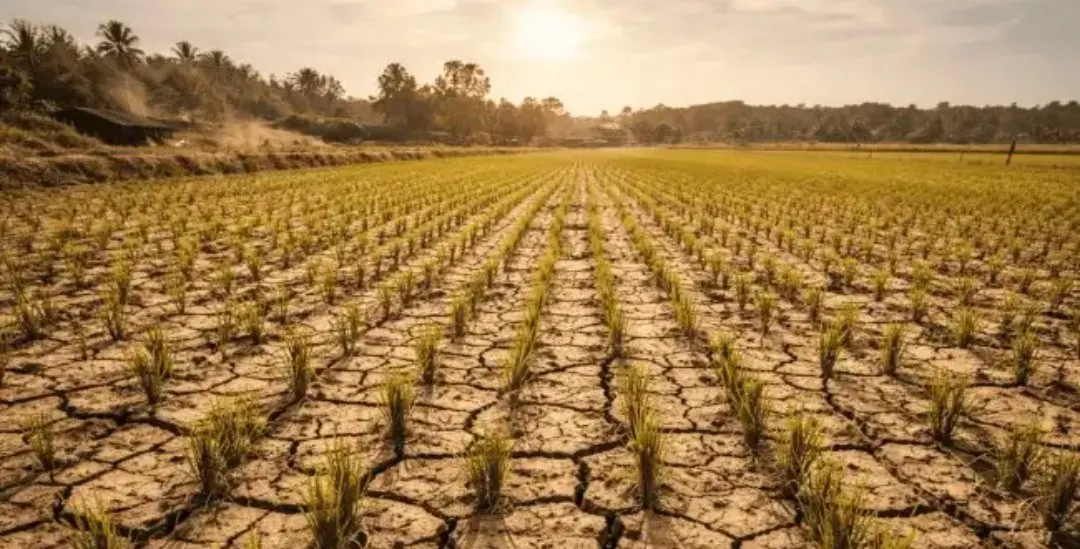 BMKG Prediksi El Niño Muncul Juni 2026, Cuaca Bogor Berpotensi Lebih Panas dan Kering 1 BMKG Prediksi El Niño Muncul Juni 2026, Cuaca Bogor Berpotensi Lebih Panas dan Kering