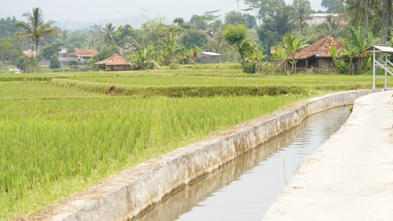 Hadapi El Nino 2026, Mentan Amran Siapkan 5 Strategi Selamatkan Produksi Pangan 1 Hadapi El Nino 2026, Mentan Amran Siapkan 5 Strategi Selamatkan Produksi Pangan