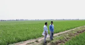 Nusron Wahid Cek Lahan Industri di Indramayu, Pastikan Tak Ganggu Sawah Produktif