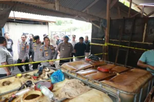 Polda Lampung Bongkar Gudang BBM Ilegal di Pesawaran, Negara Rugi Rp160 Miliar 5 Polda Lampung Bongkar Gudang BBM Ilegal di Pesawaran, Negara Rugi Rp160 Miliar