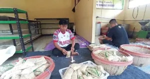 Harga Kedelai dan Plastik Melonjak, Pengrajin Tempe di Pandeglang Pangkas Karyawan