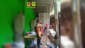 Longsor di Bogor Terdampak 55 Jiwa, BPBD Lakukan Penanganan dan Edukasi Warga 1 Longsor di Bogor Terdampak 55 Jiwa, BPBD Lakukan Penanganan dan Edukasi Warga