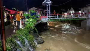 Banjir Kepung Bogor, BNPB Catat 1.614 Jiwa Terdampak di 5 Kecamatan