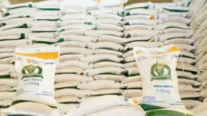 Bapanas Tegaskan Indonesia Sangat Siap Menghadapi El Nino