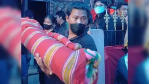 Mambalun di Mamasa Digelar Tiap Tahun, Namun Tak Semua Keluarga Melakukannya