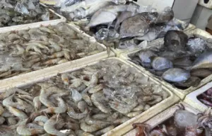 Transformasi Akuakultur: Vaksin Jadi Kunci Pengganti Antibiotik