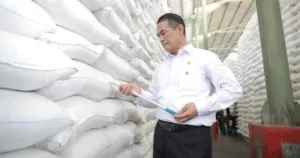 Stok Beras RI Tembus 5 Juta Ton, Rekor Sepanjang Sejarah!