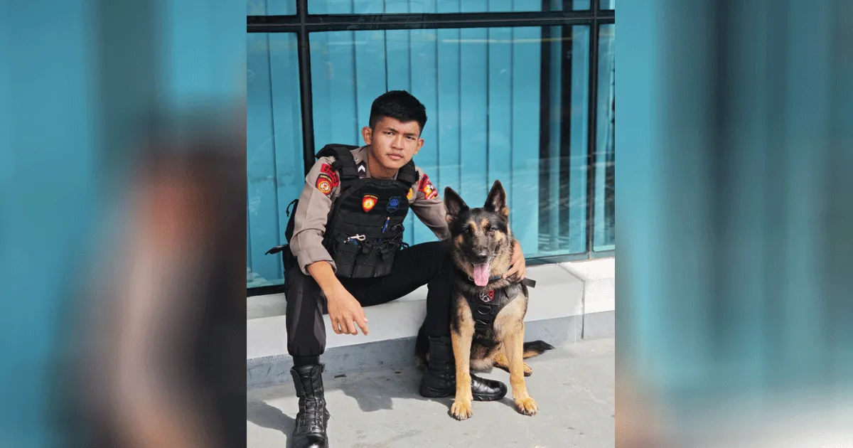 Sosok Bripda Petra, Handler K9 Polri Ini Sabet Emas di KASAL Cup V 2026 2 brika