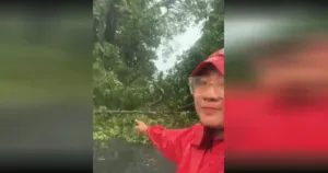 Hujan Ekstrem Lumpuhkan Lawanggintung, Pohon Besar Tumbang Tutup Akses Jalan 3 Hujan Ekstrem Lumpuhkan Lawanggintung, Pohon Besar Tumbang Tutup Akses Jalan