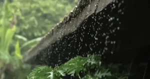 Masih Hujan di Tengah Isu El Nino? Ini Penjelasan Pakar IPB