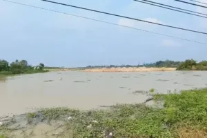 Pemprov Tak Gugat HGB 25 Hektare, Aktivis Nilai Lemah dan Berpotensi Rugikan Masyarakat Banten 7 Pemprov Tak Gugat HGB 25 Hektare, Aktivis Nilai Lemah dan Berpotensi Rugikan Masyarakat Banten