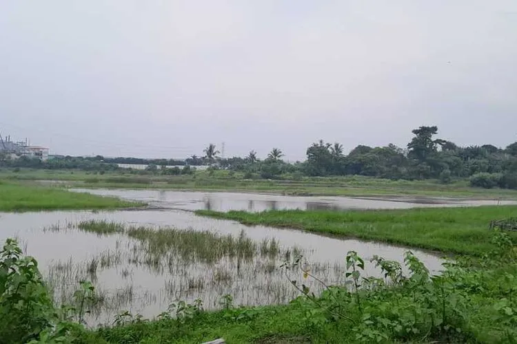 Pemprov Tak Gugat HGB 25 Hektare, Aktivis Nilai Lemah dan Berpotensi Rugikan Masyarakat Banten 2 BPN2