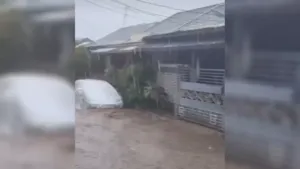 Banjir Rendam 30 Rumah di Ciomas Bogor, Curah Hujan Tinggi Jadi Pemicu Utama 2 Banjir Rendam 30 Rumah di Ciomas Bogor, Curah Hujan Tinggi Jadi Pemicu Utama