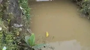 Aktivis Lingkungan Kritik Kinerja DLH Kota Serang, Dugaan Pencemaran Bau Menyengat Dinilai Bukti Lemahnya Pengawasan