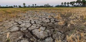 El Nino Picu Ancaman Ekologis, Konflik Manusia dan Satwa Liar Berpotensi Meningkat 1 El Nino Picu Ancaman Ekologis, Konflik Manusia dan Satwa Liar Berpotensi Meningkat