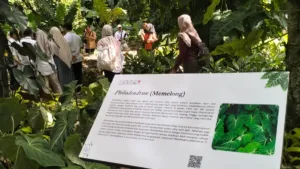 Kebun Raya Bogor Resmikan Taman Araceae pada HUT ke-209, Perkuat Konservasi dan Edukasi Flora Tropis