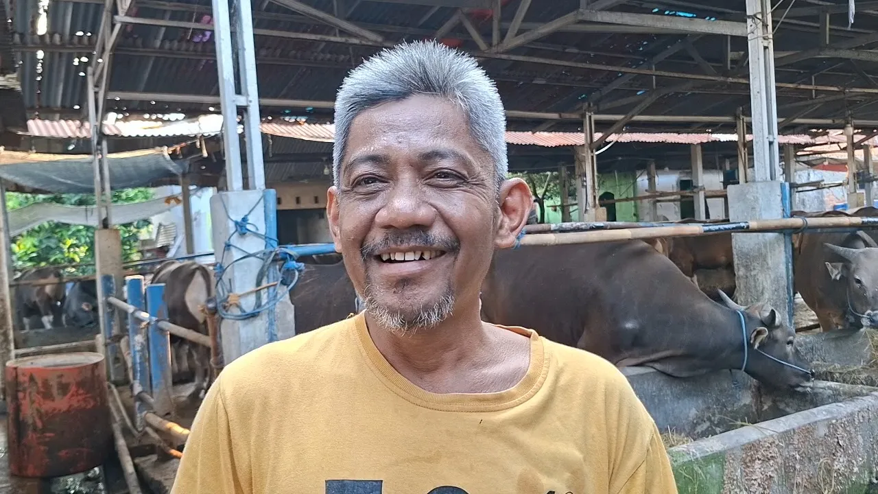 Jelang Iduladha, Pedagang Sapi di Bekasi Keluhkan Pembeli Hewan Kurban Menurun 2 Iduladha2