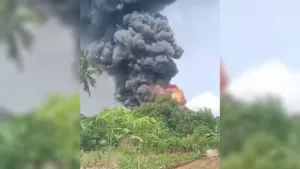 Kebakaran Peternakan di Ciseeng Bogor, 15.000 Ekor Ayam Mati