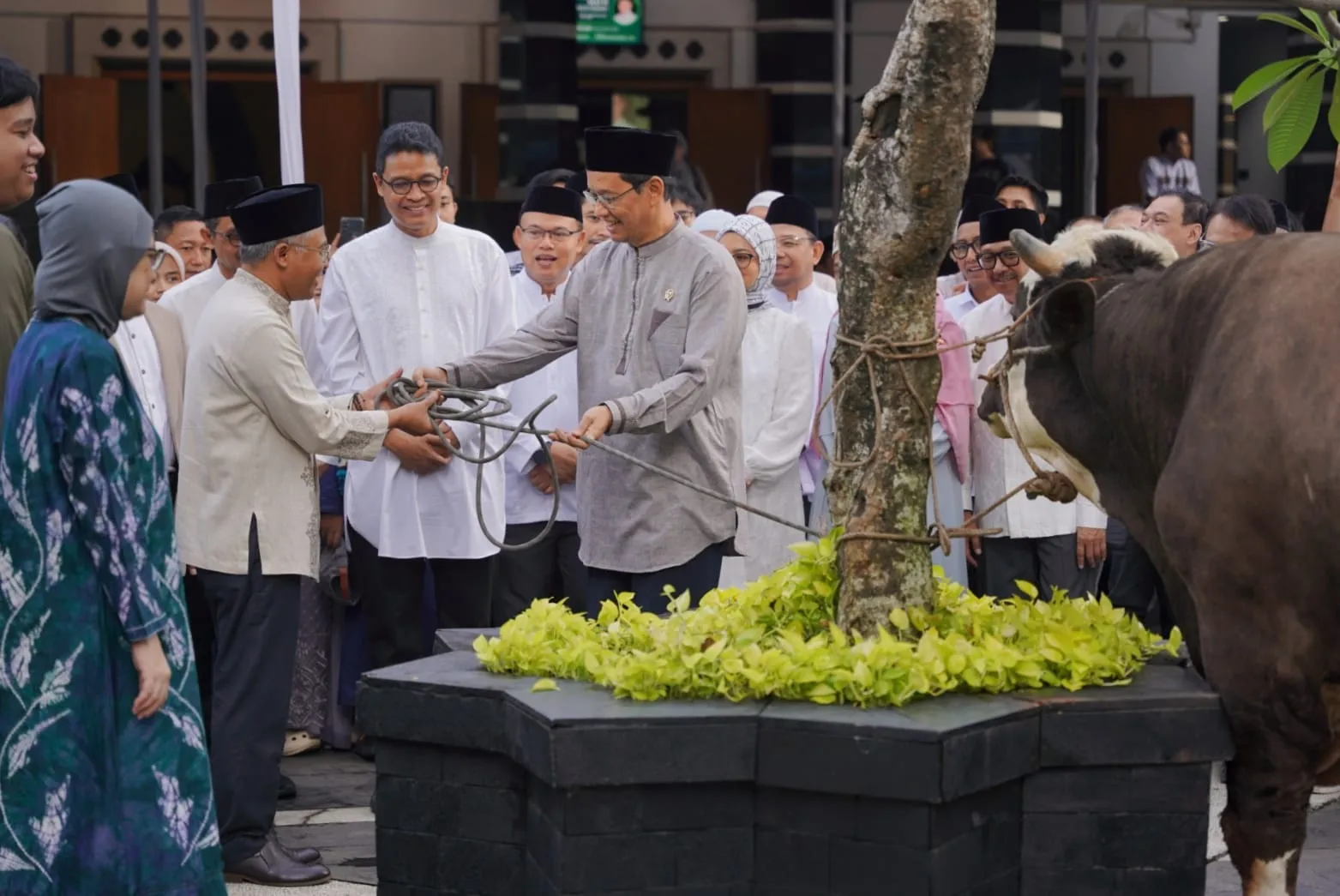 Kurban Jumbo Kemenkeu! Purbaya Serahkan Sapi 868 Kg untuk Iduladha 1447 H 1 Kurban Jumbo Kemenkeu! Purbaya Serahkan Sapi 868 Kg untuk Iduladha 1447 H