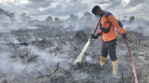 Juni 2026 Jadi Awal Kemarau Ekstrem, BNPB: Indonesia Siaga Karhutla dan Kekeringan