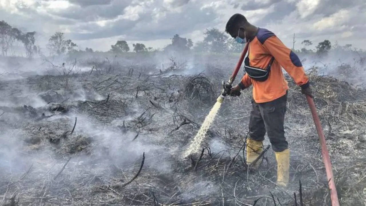 Juni 2026 Jadi Awal Kemarau Ekstrem, BNPB: Indonesia Siaga Karhutla dan Kekeringan 1 Juni 2026 Jadi Awal Kemarau Ekstrem, BNPB: Indonesia Siaga Karhutla dan Kekeringan