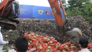 Bareskrim Musnahkan 20 Ton Bawang Impor Ilegal di Kalbar