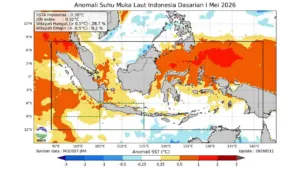 BMKG Sebut El Nino Bukan Sekadar Musim Kemarau, Ini Dampaknya
