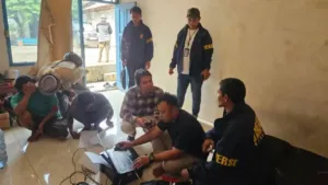 Tim Gabungan Gerebek Gudang di Bekasi, 11 Ular Sanca Hijau Papua Dilindungi Disita