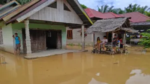 Sungai Kuantan Meluap, 526 Rumah Warga Terendam Banjir 7 Sungai Kuantan Meluap, 526 Rumah Warga Terendam Banjir