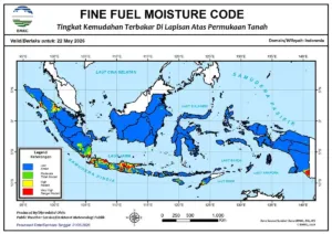 BMKG Deteksi Ancaman Kemarau Kering 2026: Jawa hingga Papua Rawan Karhutla