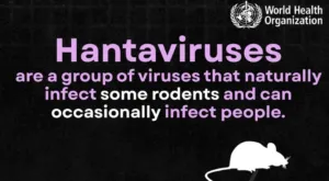 WHO Konfirmasi 10 Kasus Hantavirus Global, Kru MV Hondius Dilaporkan Bebas Gejala
