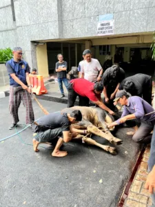 Tebar Kebaikan di Idul Adha, Balkoters Distribusikan Daging Kurban untuk Anggota dan Masyarakat