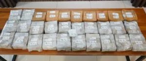 Polisi Ungkap Gudang Sabu 29 Kg di Apartemen Bekasi Jaringan Malaysia
